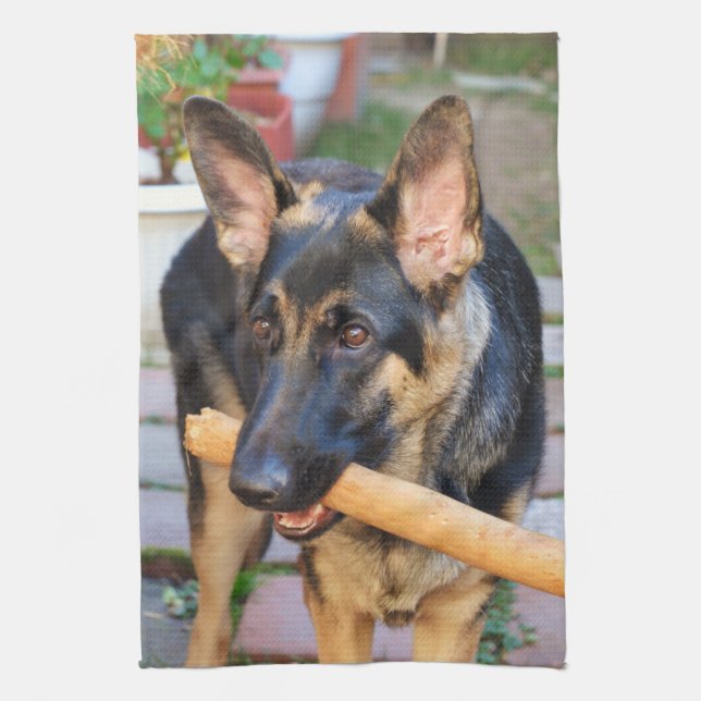 German Shepherd von Shirley Taylor Küchentuch (Vertikal)