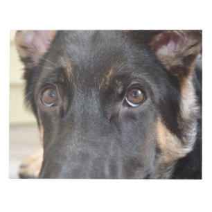 German Shepherd von Shirley Taylor Notizblock