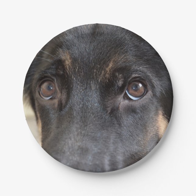 German Shepherd von Shirley Taylor Pappteller (Vorderseite)