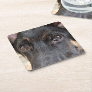 German Shepherd von Shirley Taylor Rechteckiger Pappuntersetzer