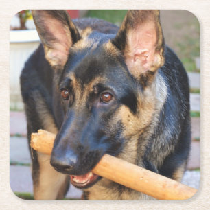 German Shepherd von Shirley Taylor Rechteckiger Pappuntersetzer