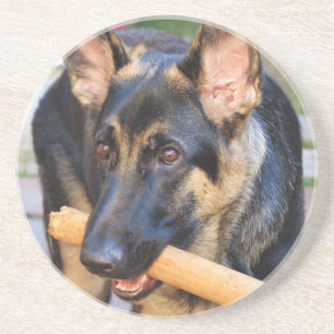 German Shepherd von Shirley Taylor Sandstein Untersetzer