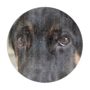 German Shepherd von Shirley Taylor Schneidebrett