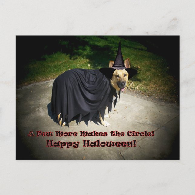 German Shepherd Witch Dog Postkarte (Vorderseite)