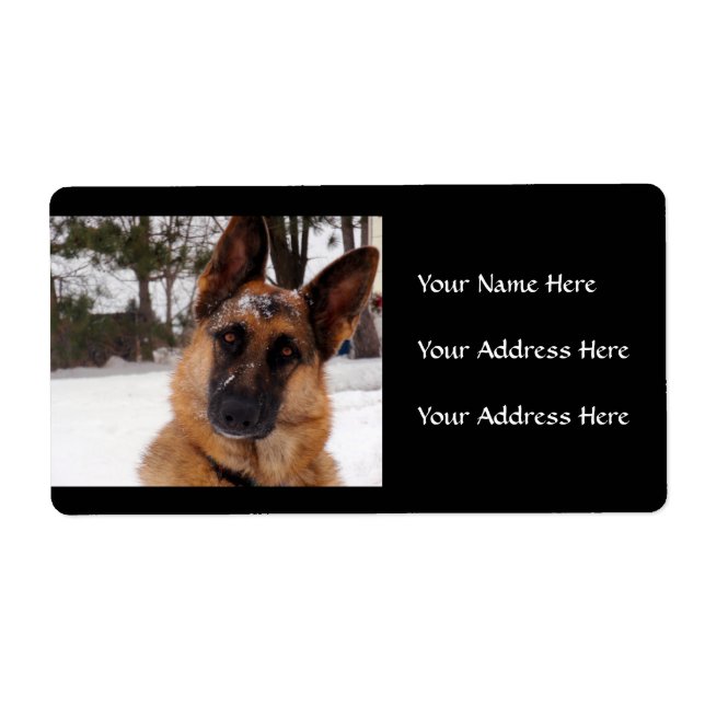 German Shepherds Address Labels (Vorne)