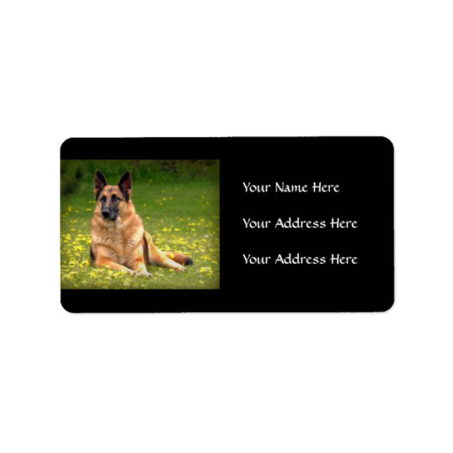 German Shepherds Address Labels Adressaufkleber (Vorne)