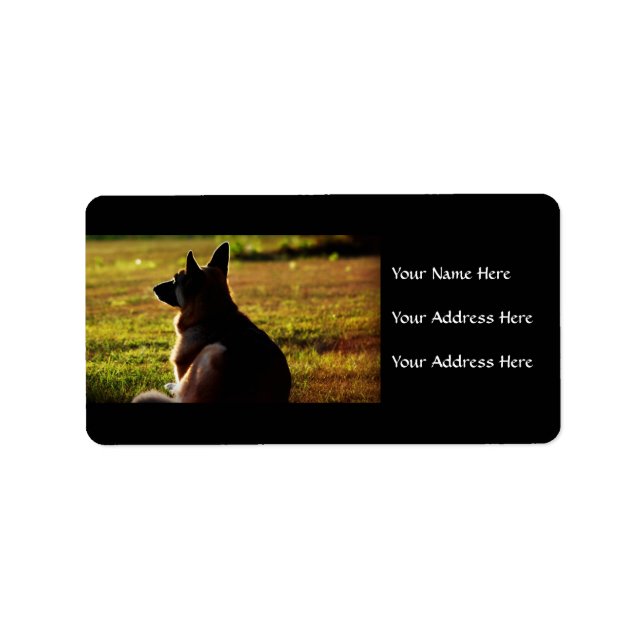 German Shepherds Address Labels Adressaufkleber (Vorne)