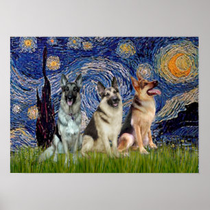 German Shepherds Three - Starry Night Poster