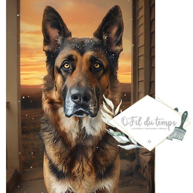 German Sheppard, wir haben Porch Seidenpapier (Von Creator hochgeladen)