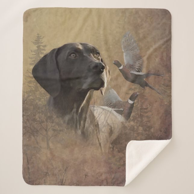 German Shorthaired Pointer , Deutsch Kurzhaar Sherpadecke (Vorderseite)