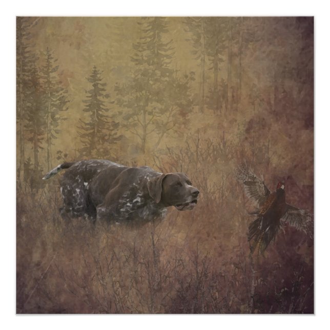 German Shorthaired Pointer , Deutsch Kurzhaar Tape Poster (Vorderseite)