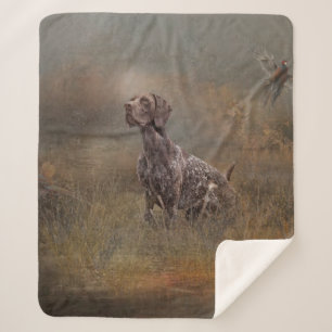 German Shorthaired Pointer , Deutsch Kurzhaar Tape Sherpadecke