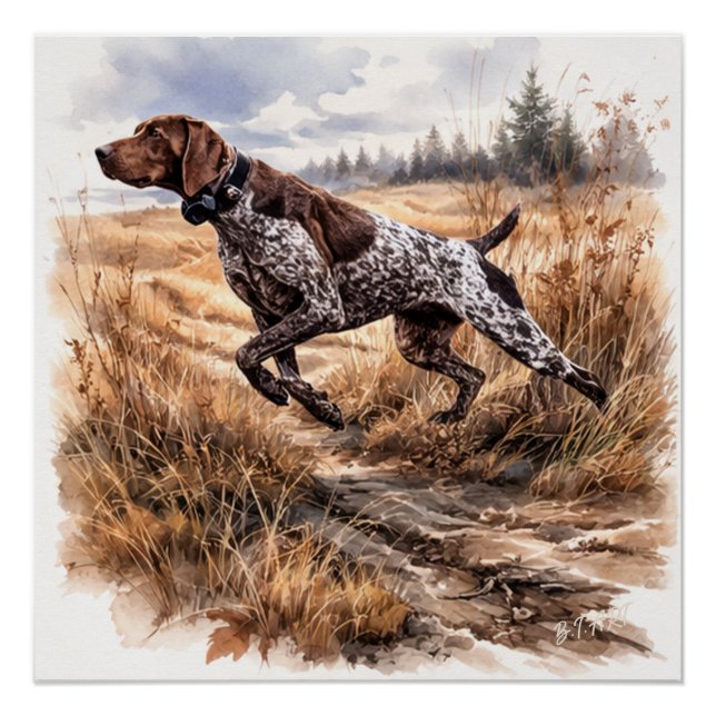  German Shorthaired Pointer  Poster (Vorderseite)