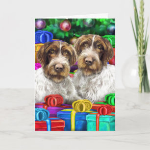 German WH Pointer Open Geschenke Weihnachten