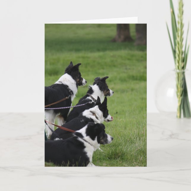 GermanShepherds Karte (Vorderseite)