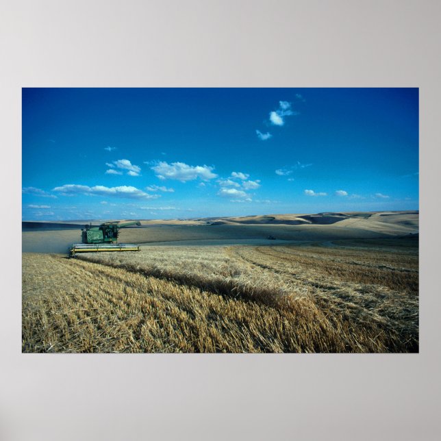 Gerstenernte Poster (Vorne)