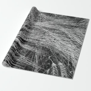Gerstenohren (Hordeum vulgare) Geschenkpapier