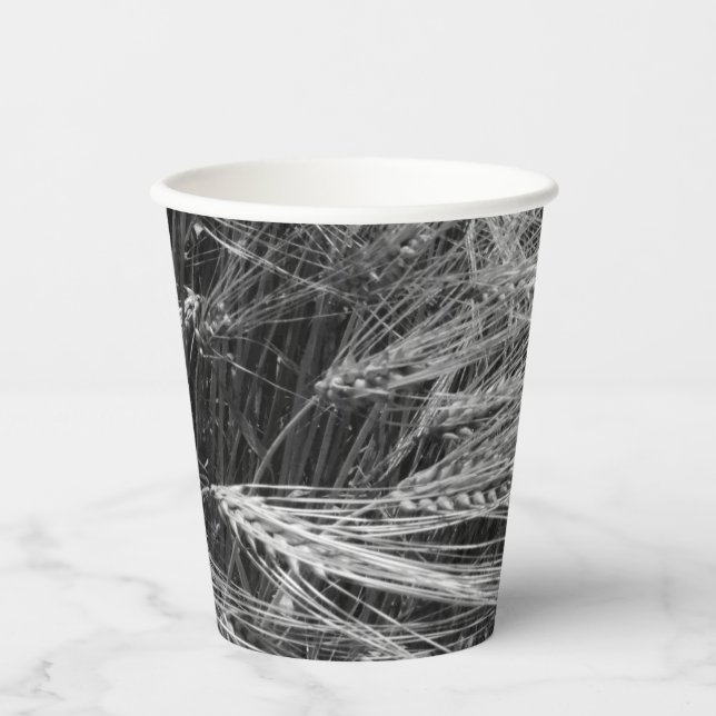 Gerstenohren (Hordeum vulgare) Pappbecher (Vorderseite)