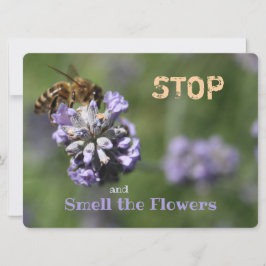 Geruchssorgen von Blume stoppen