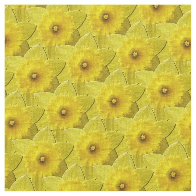 Geruchsstoff Ostermöbel Blume Gelbe Stoffe (Nahaufnahme)