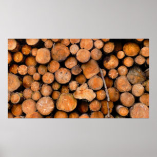 gesägte Stämme Poster