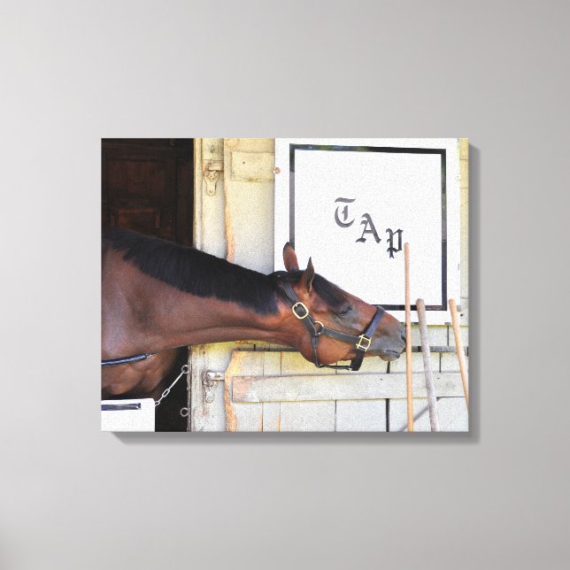 Gesamtplan Leinwanddruck (Vorderseite)