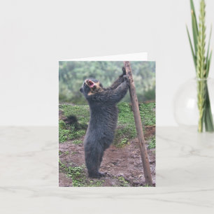 Gesang Bubu Notecard Karte