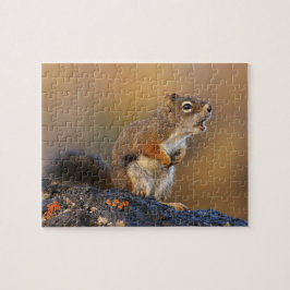 Gesang-Eichhörnchen