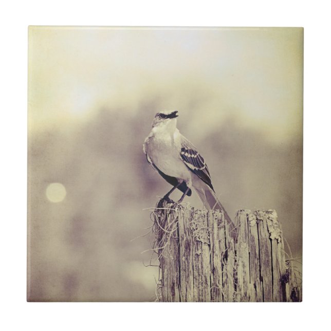 Gesang zur Welt! Fliese (Vorderseite)