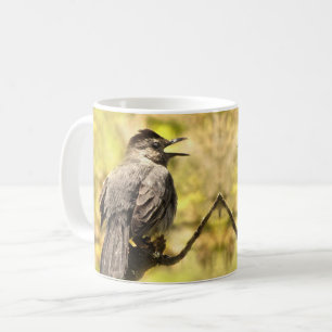 Gesanggraue Catbirds Tasse