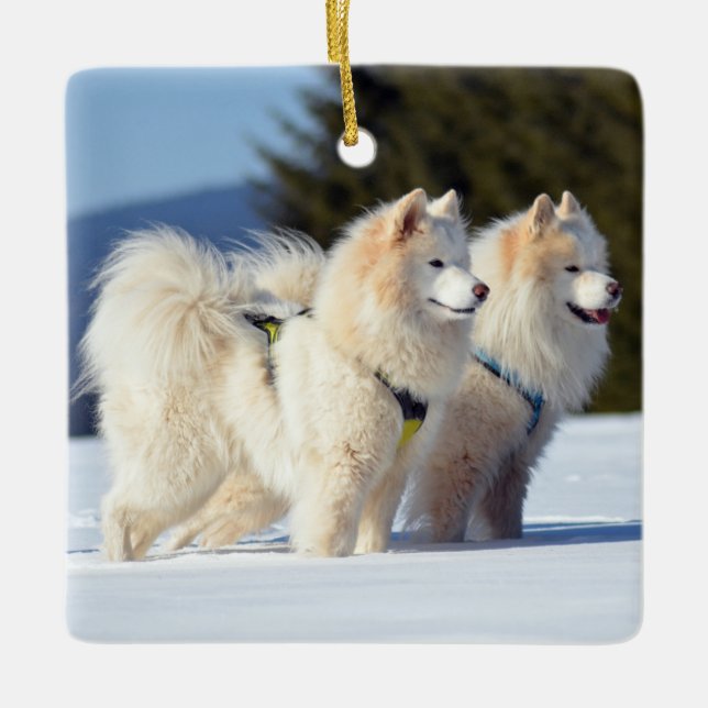 Gesäumte Hunde im Schnee Keramikornament (Vorderseite)