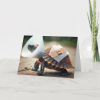 Geschädigte Schildkröte wird bald gut