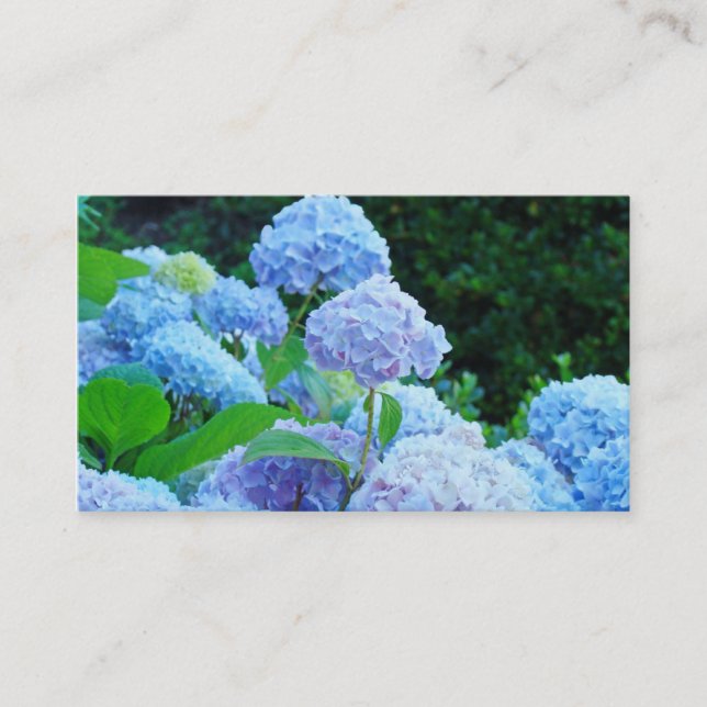 Geschäfts-Kartenblaue Hydrangea-Blumen mit Blumen Visitenkarte (Vorderseite)