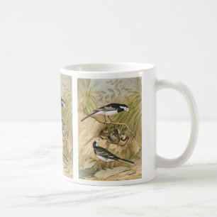 Gescheckter Wagtail-Vintage Vogel-Illustration Kaffeetasse
