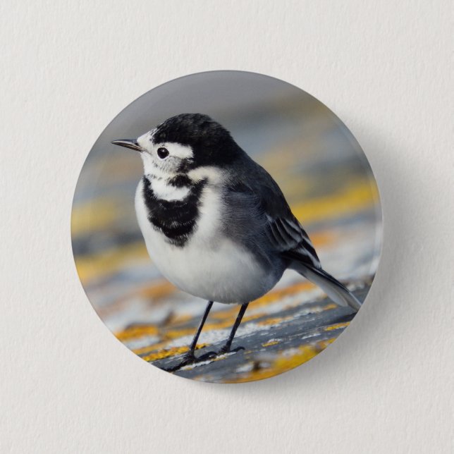 Geschecktes Wagtail-Abzeichen Button (Vorderseite)