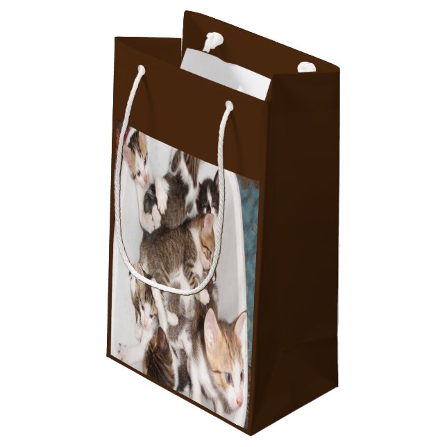 Geschenk für Katzen Kleine Geschenktüte (Rückseite Schrägansicht)