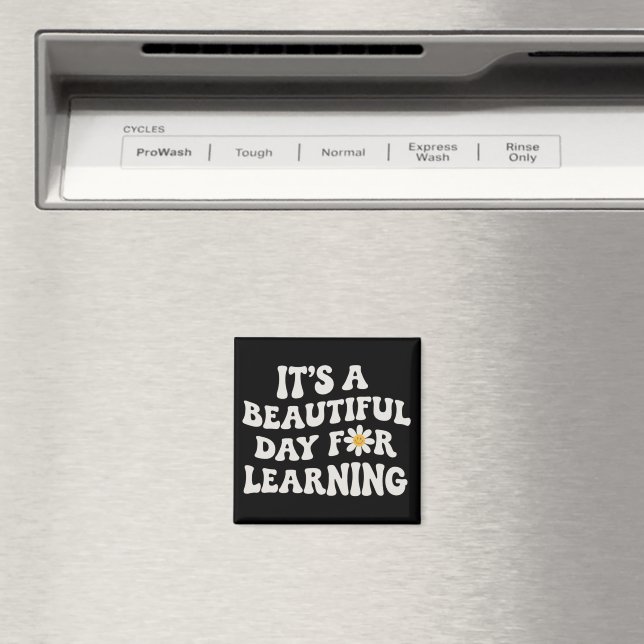 Geschenk für Lehrerleben Es ist ein wunderschöner  Magnet (In Situ (Geschirrspüler))