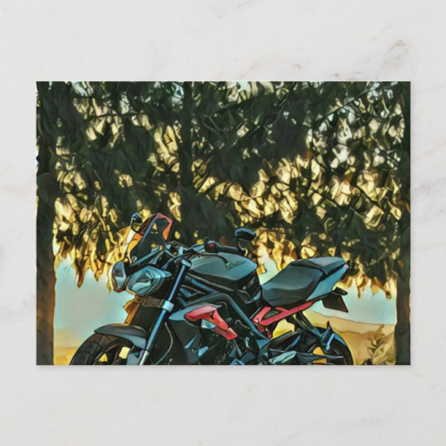 Geschenk für Motorräder Postkarte (Vorderseite)