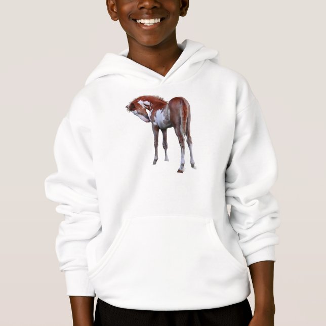 Geschenk für Pferdefreunde Hoodie (Vorderseite)