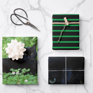 Geschenk oder Bastelarbeit für Katzenliebhaber Geschenkpapier Set