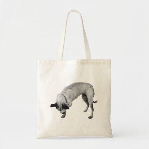 Geschenk-Schutz Pfoten-Tasche Tragetasche