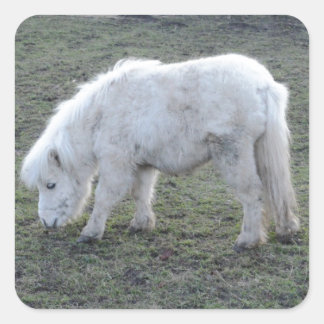 Geschenke für das weiße Pferd Quadratischer Aufkleber
