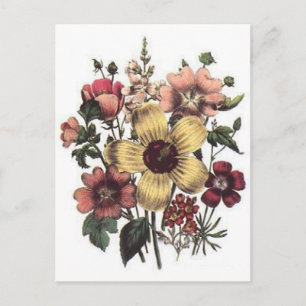 Geschenke für Lächeln Postkarte