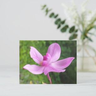 GESCHENKE FÜR NATURLIEBE MIT BLUME POSTKARTE
