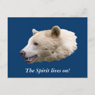 Geschenke "Spirit Bear" Postkarte