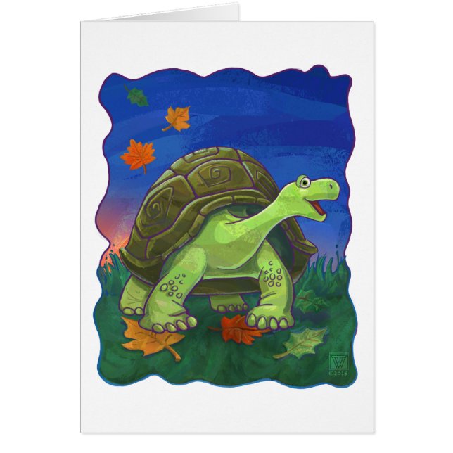 Geschenke und Zubehör für Schildkröten (Vorne)