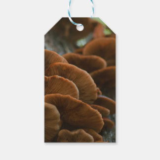 Geschenketiketten für Pilze Geschenkanhänger