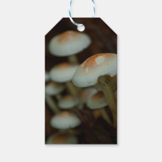 Geschenketiketten für Pilze Geschenkanhänger