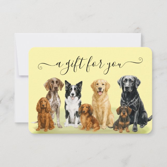 Geschenkgutschein für den Boarding von Gelbhunden (Vorderseite)