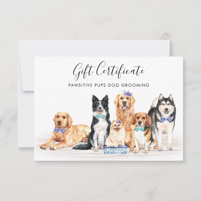 Geschenkgutschein für Hunde mit Betreuungspersonal (Vorderseite)